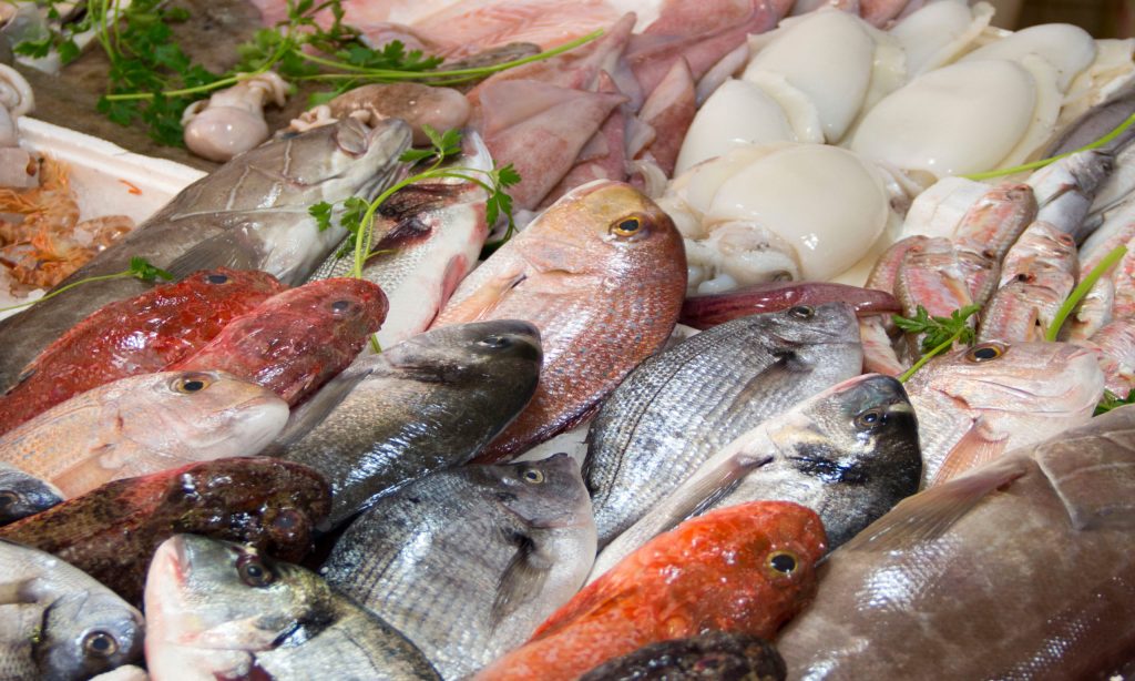 Pescados de temporada