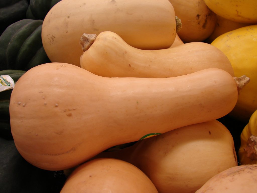 Calabazas en un cesto