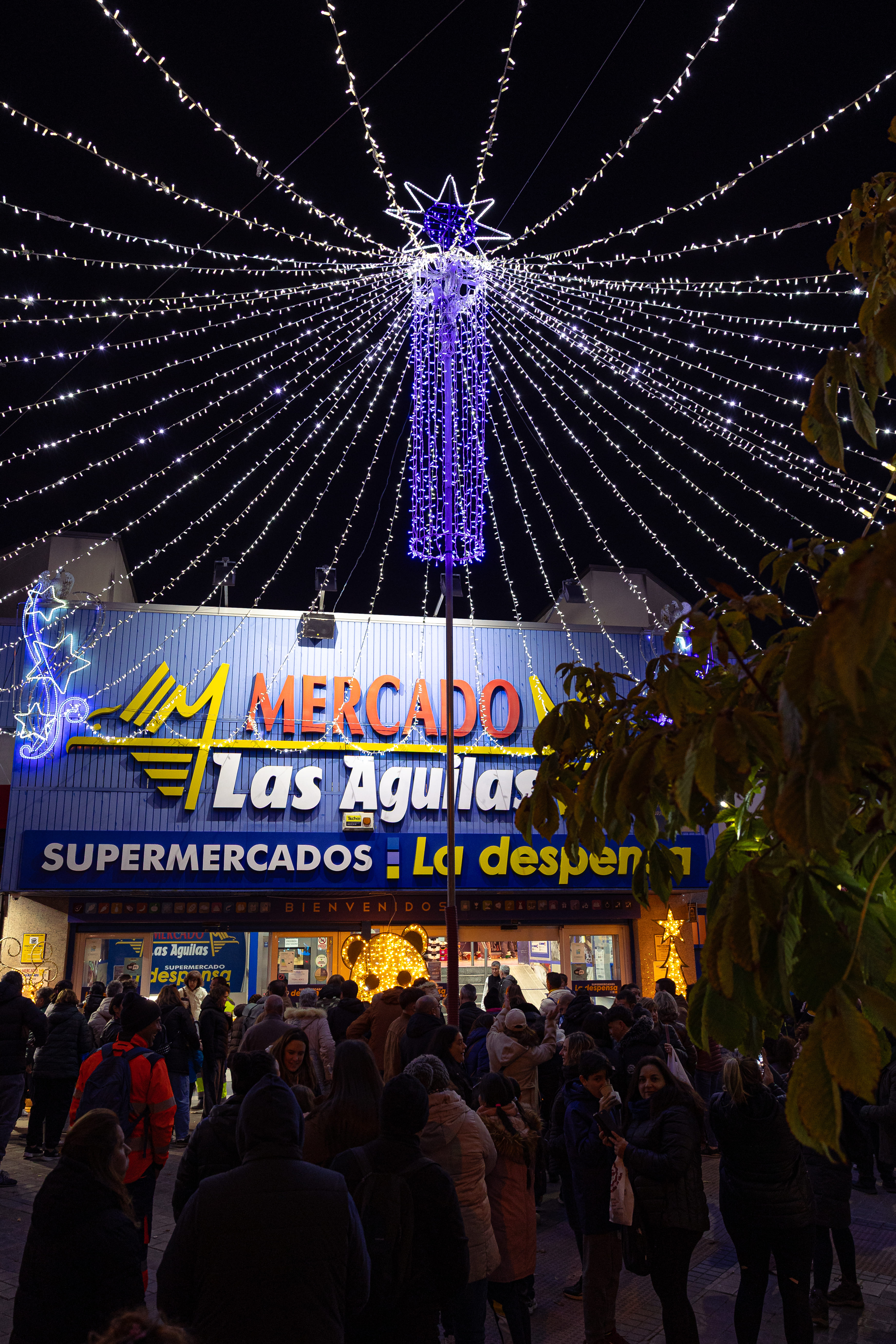 LUCES NAVIDAD MERCADO_06