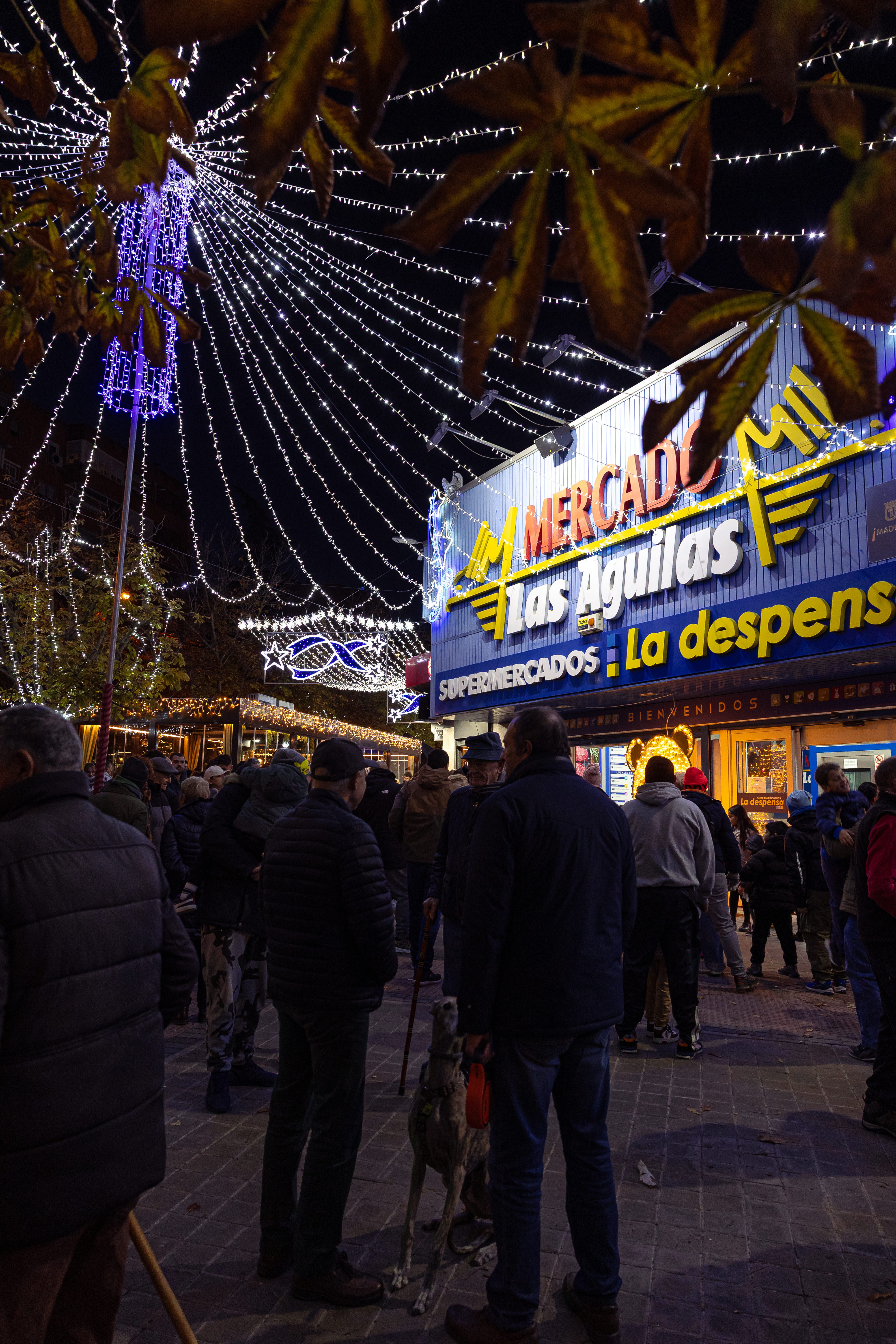 LUCES NAVIDAD MERCADO_07