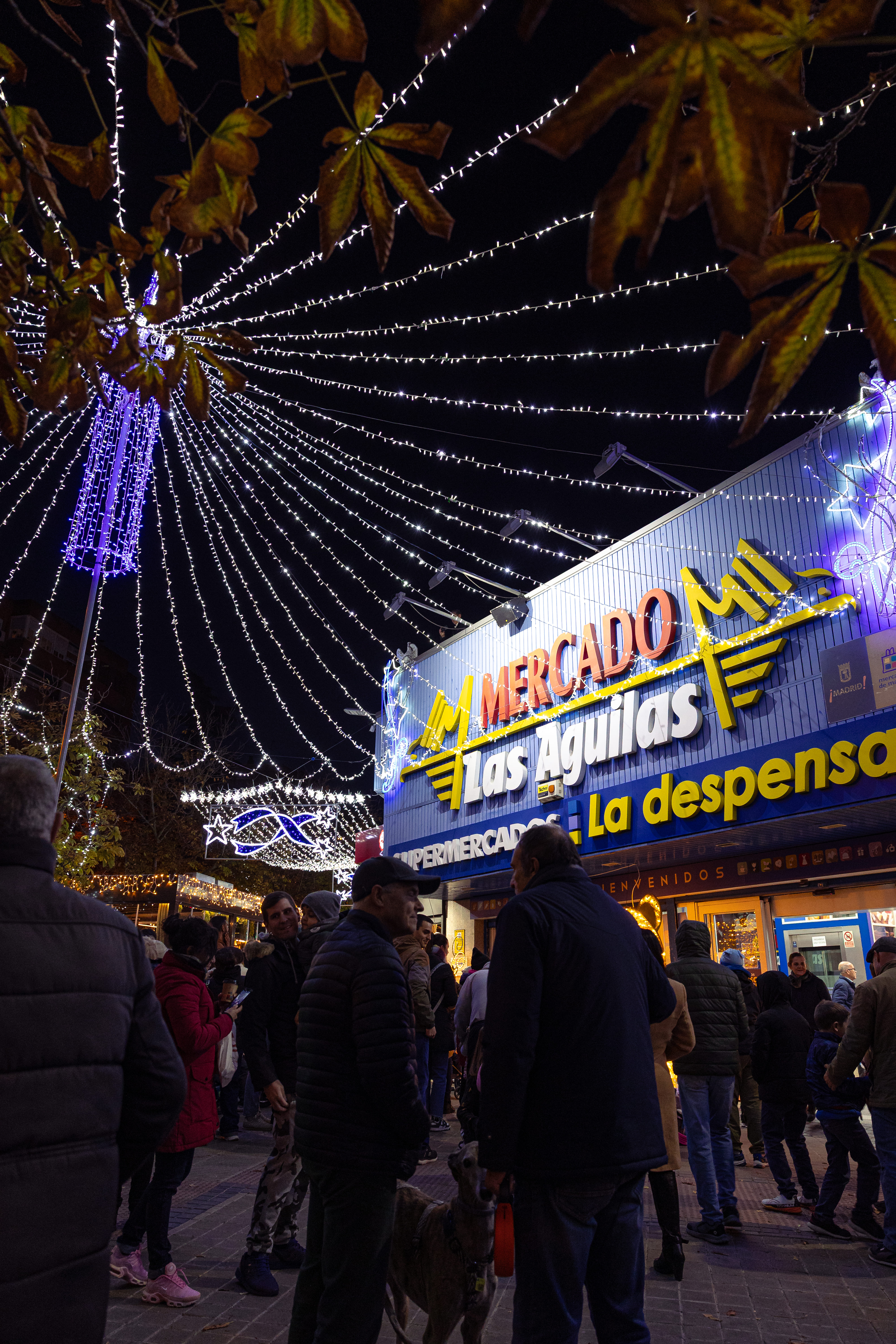 LUCES NAVIDAD MERCADO_08
